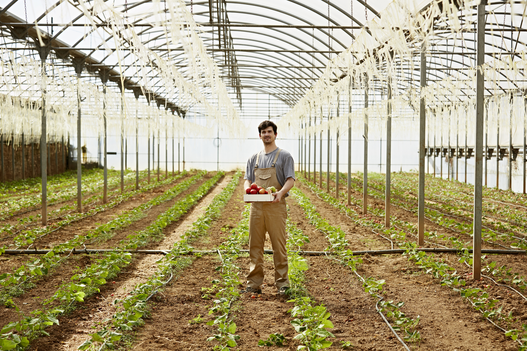 Sistemas de riego en invernaderos