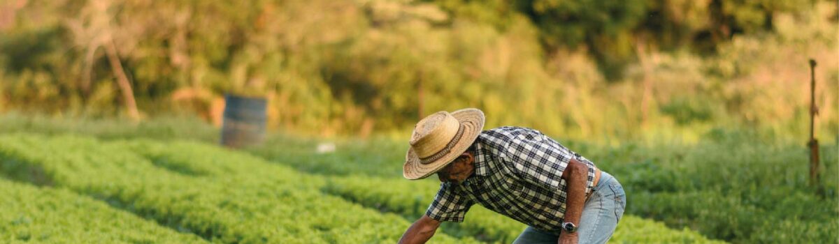 La importancia de la conservación del agua en la agricultura y cómo implementar prácticas de conservación