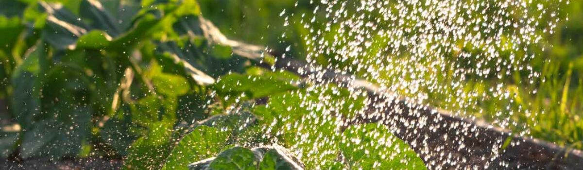 ¿Qué pasa cuando riegas con presión desigual?