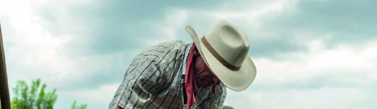 ¿Qué es el policultivo?