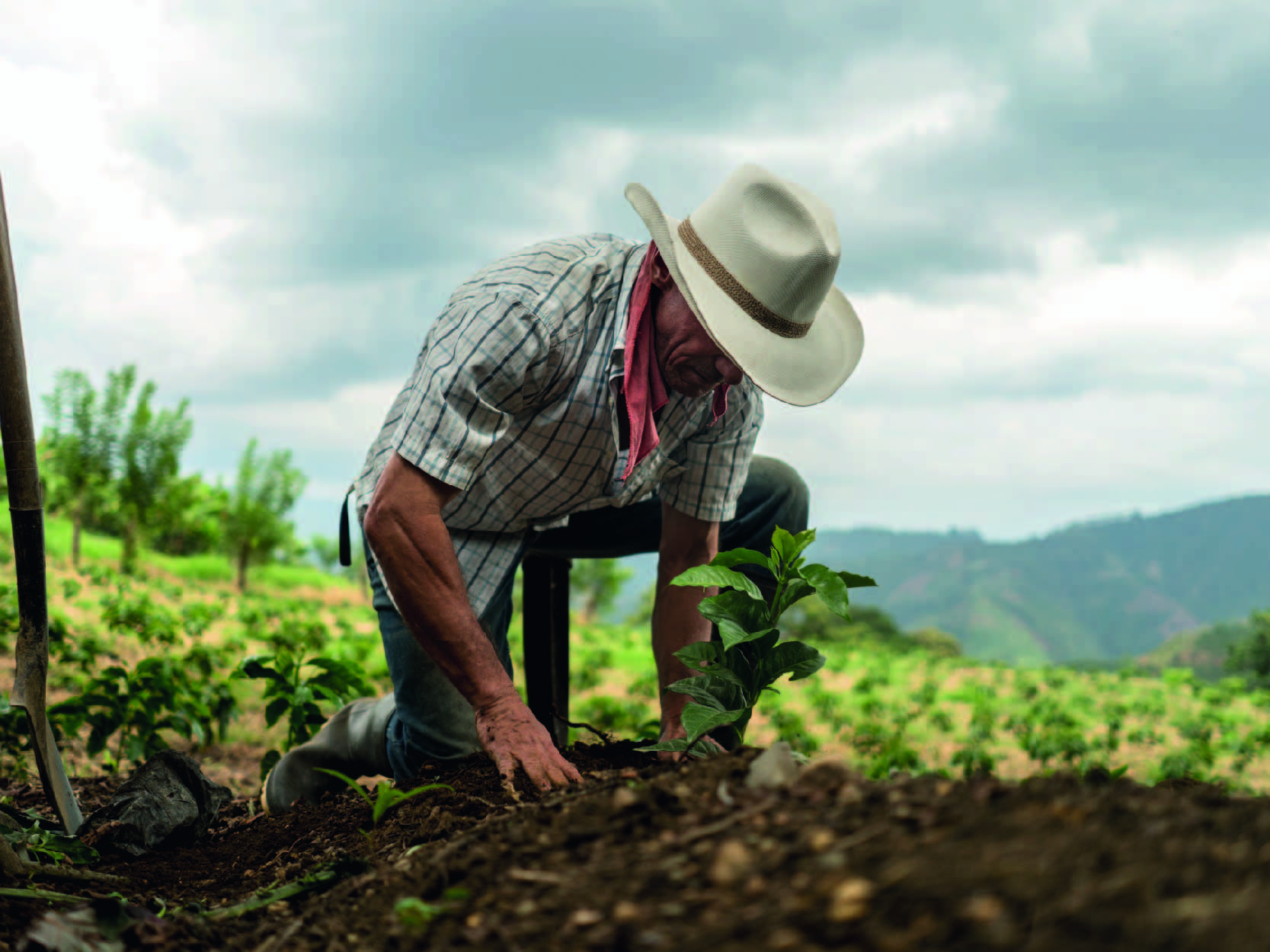 sistema de riego automatico