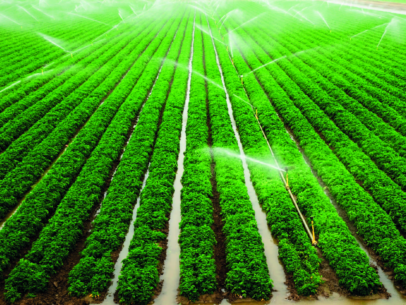 uso del agua en la agricultura