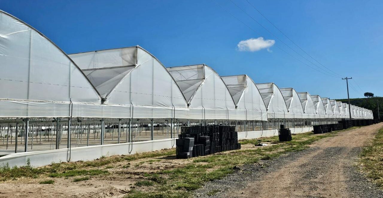 riego de arboles frutales