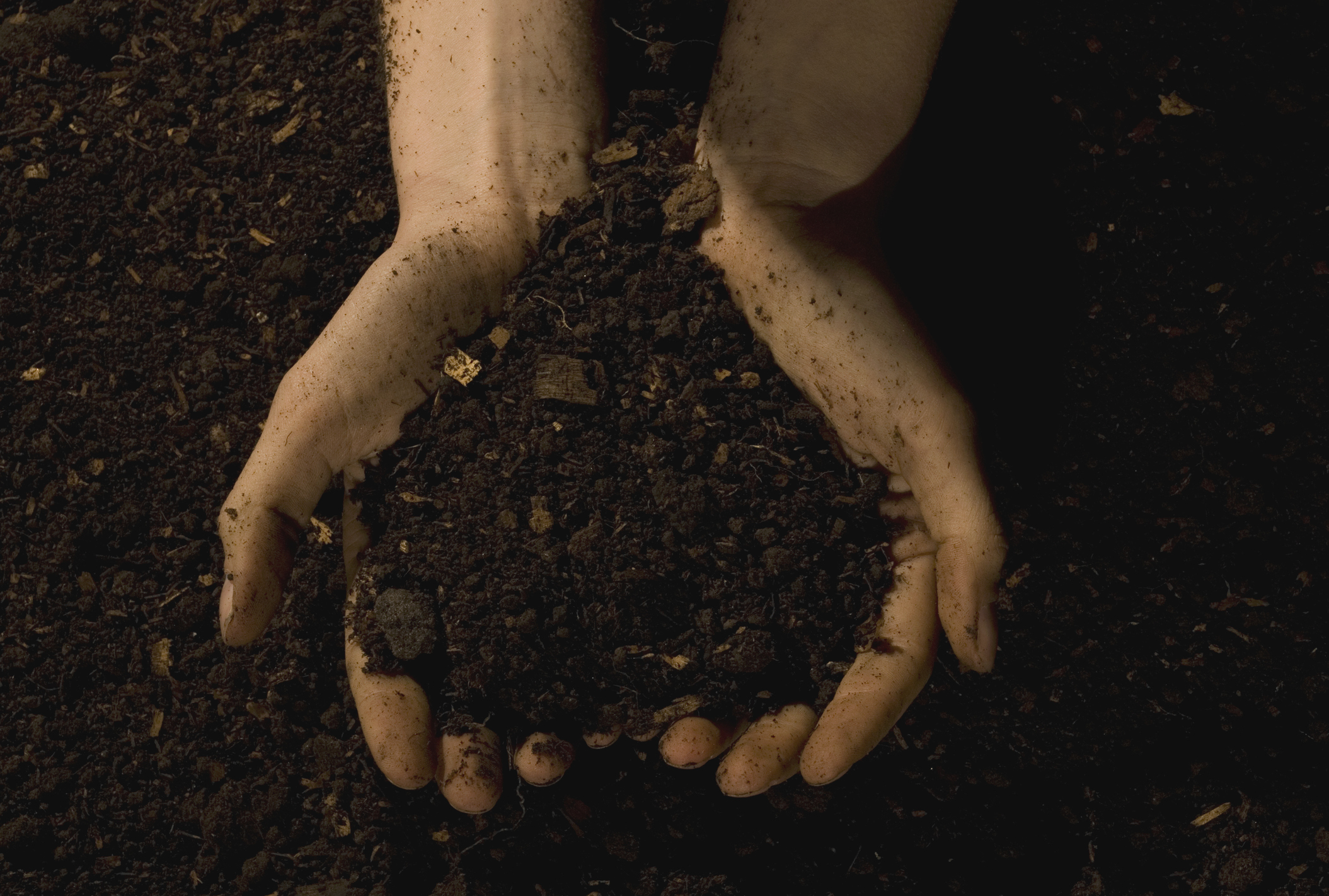 Riego por aspersión