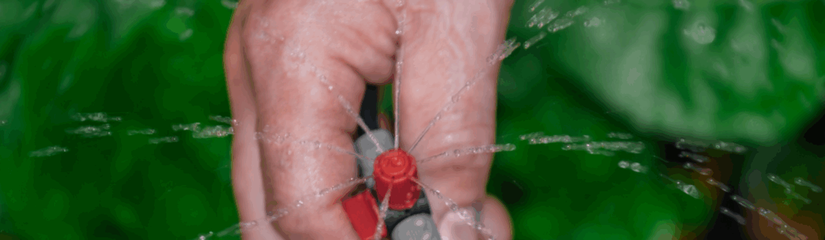 Guía para elaborar un proyecto de riego: Todo lo que tienes que saber