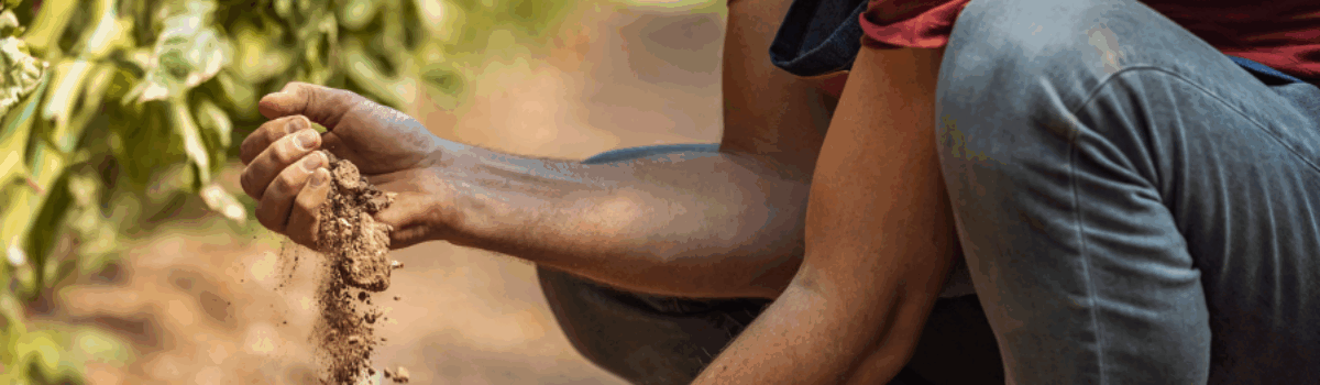 Estrategias y soluciones para las necesidades de riego en condiciones áridas