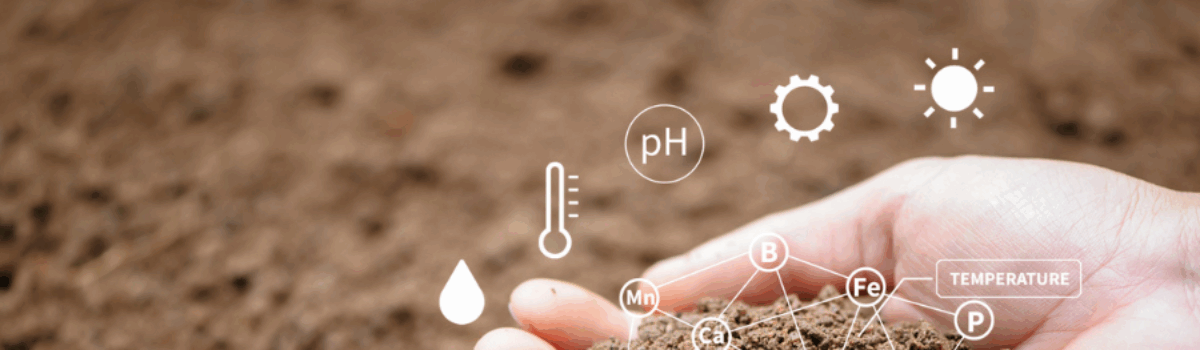 ¿Cómo hacer un levantamiento topográfico para cultivos?